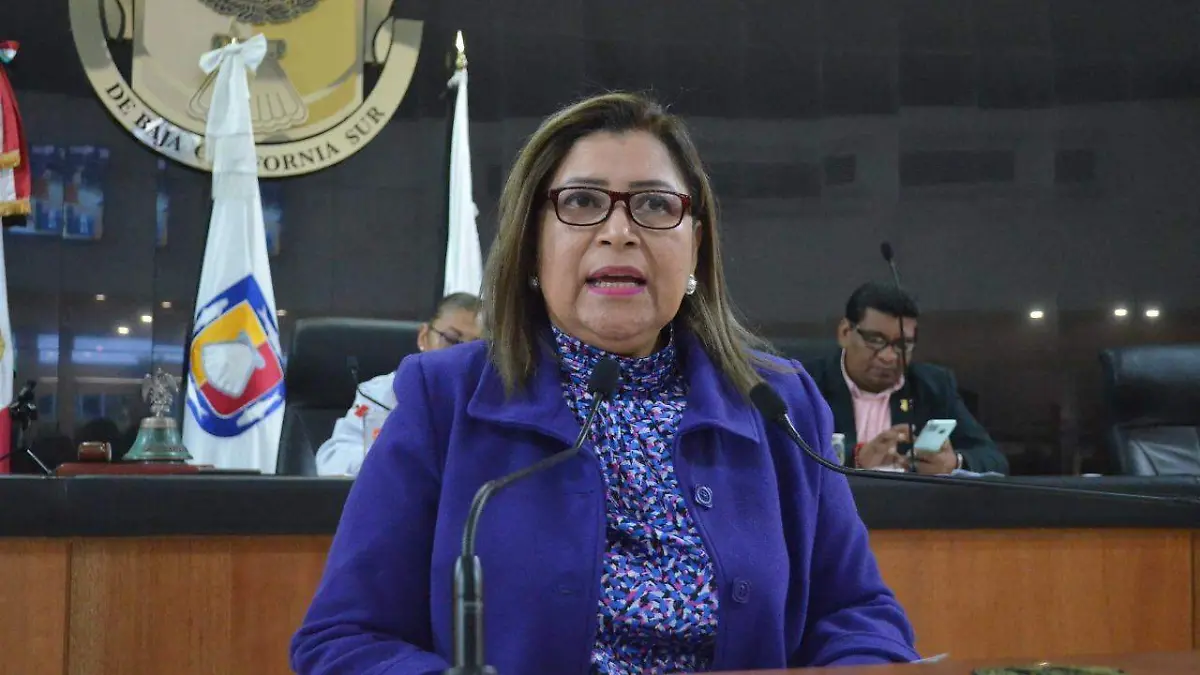 Diputada Maria Luisa Ojeda violencia